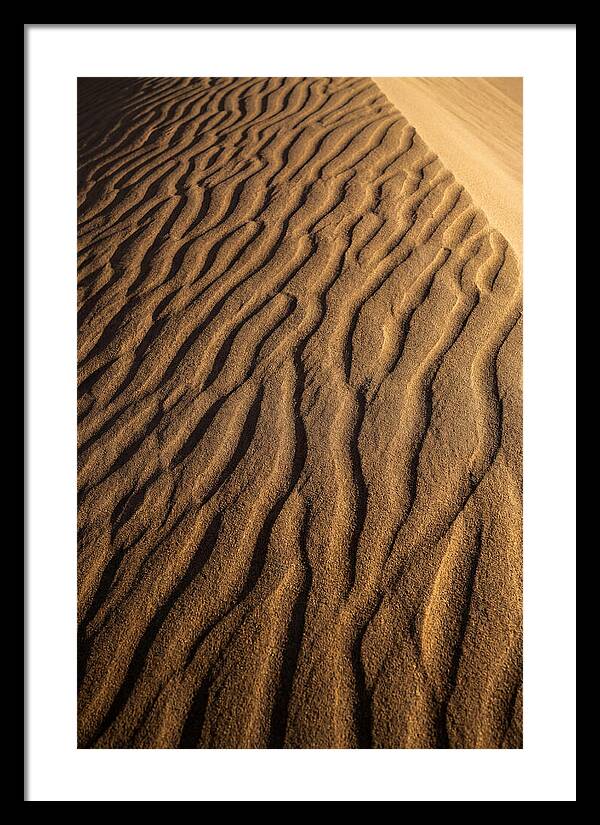 Sand Dune Patterns Under Sunlight