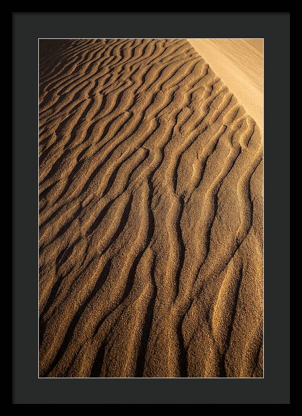 Sand Dune Patterns Under Sunlight