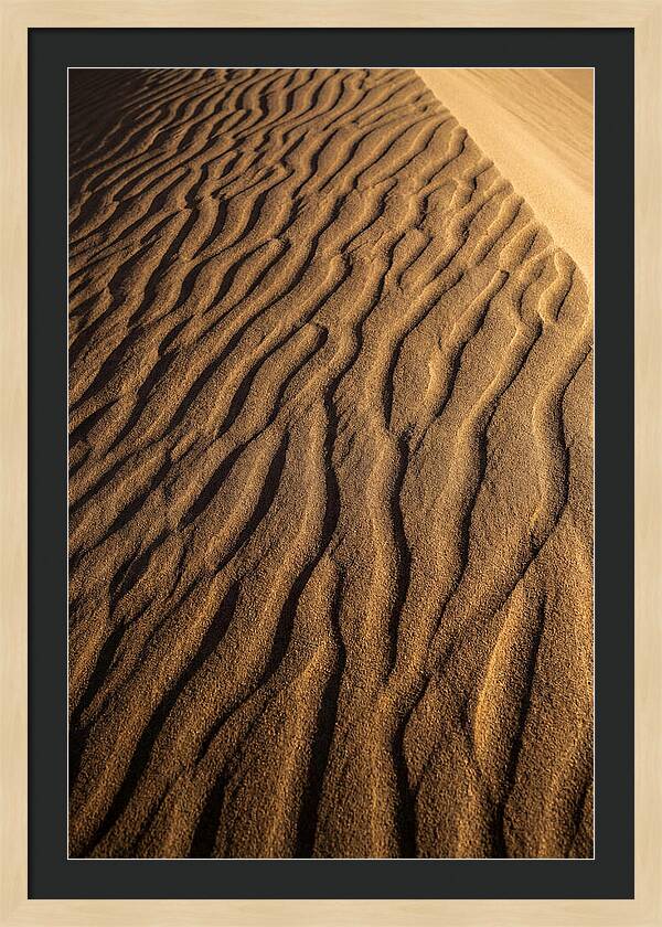 Sand Dune Patterns Under Sunlight