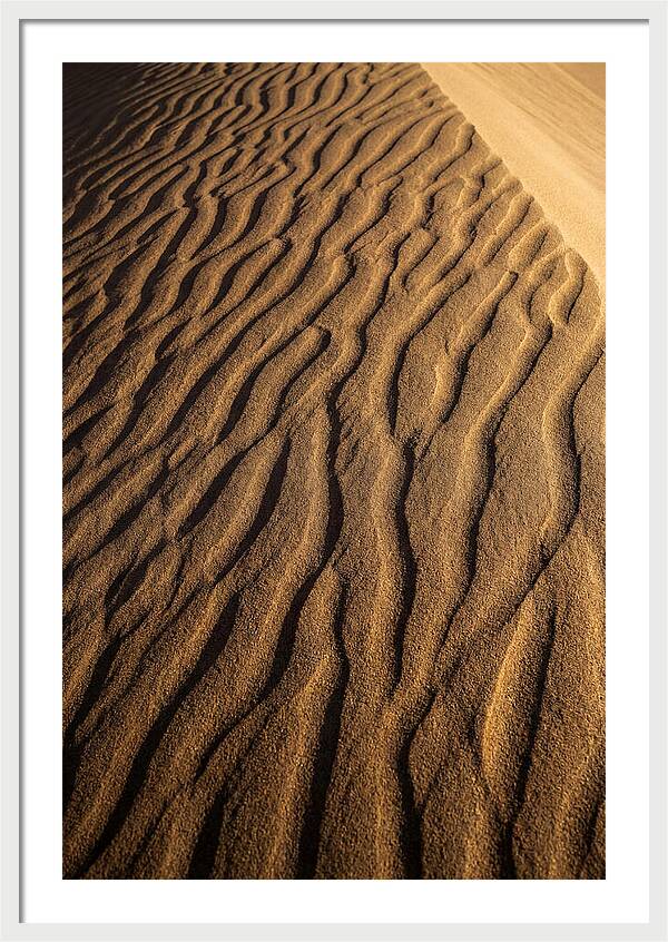 Sand Dune Patterns Under Sunlight