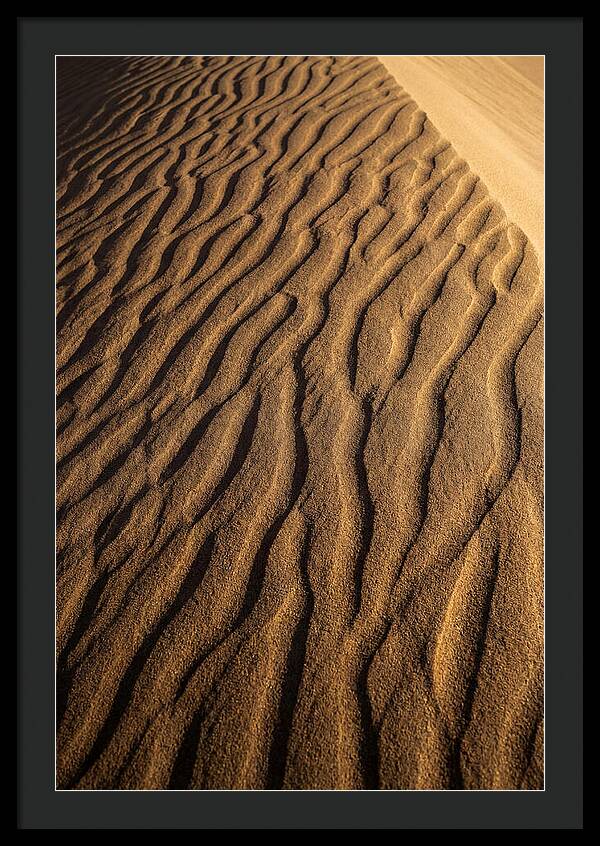 Sand Dune Patterns Under Sunlight