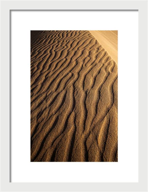 Sand Dune Patterns Under Sunlight
