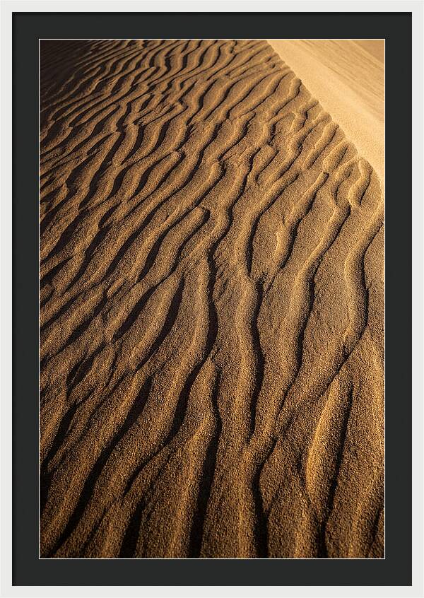 Sand Dune Patterns Under Sunlight