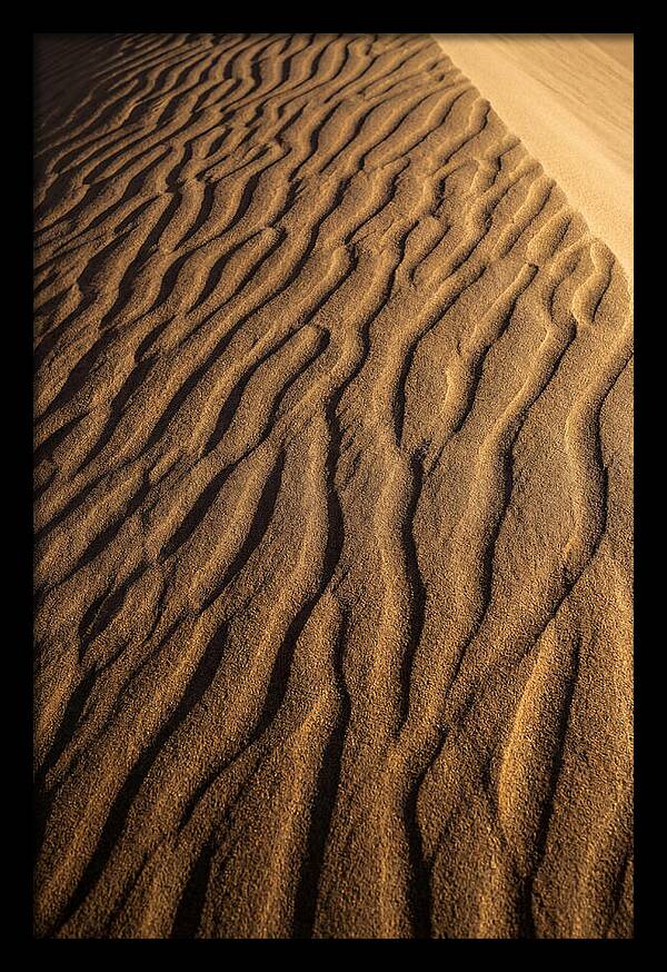 Sand Dune Patterns Under Sunlight