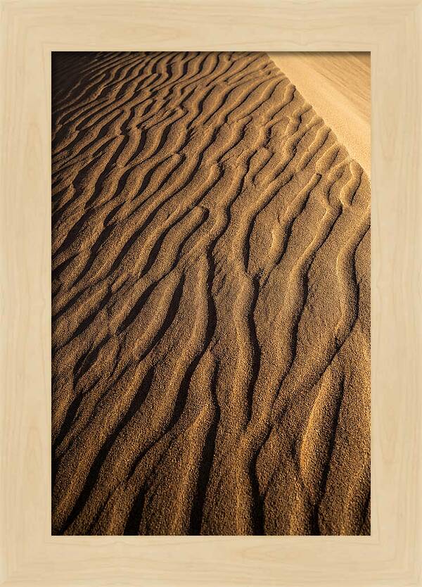 Sand Dune Patterns Under Sunlight