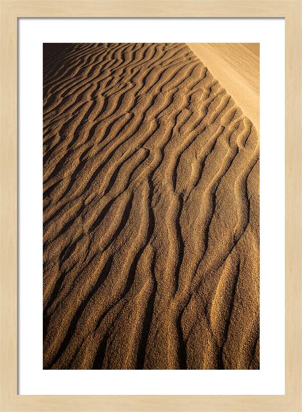 Sand Dune Patterns Under Sunlight