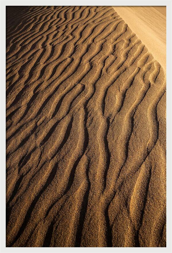 Sand Dune Patterns Under Sunlight