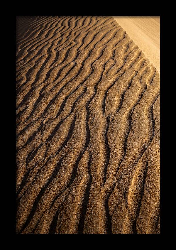 Sand Dune Patterns Under Sunlight