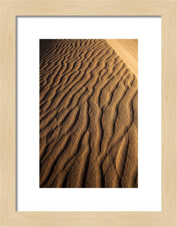 Sand Dune Patterns Under Sunlight
