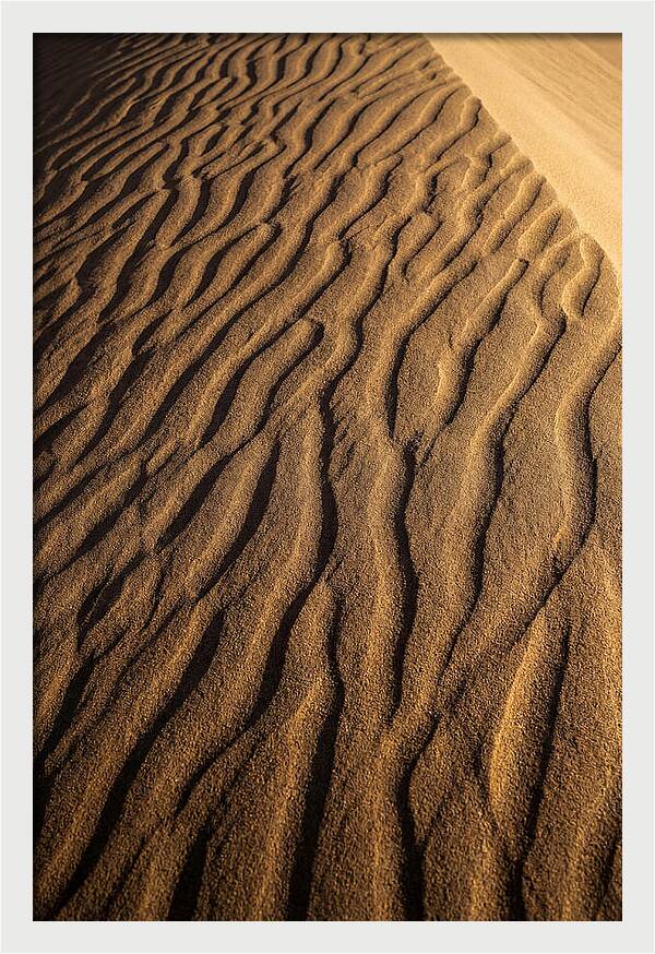 Sand Dune Patterns Under Sunlight