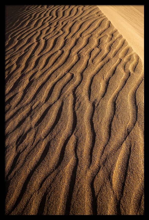 Sand Dune Patterns Under Sunlight