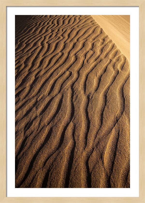 Sand Dune Patterns Under Sunlight