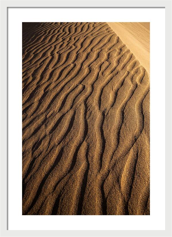 Sand Dune Patterns Under Sunlight