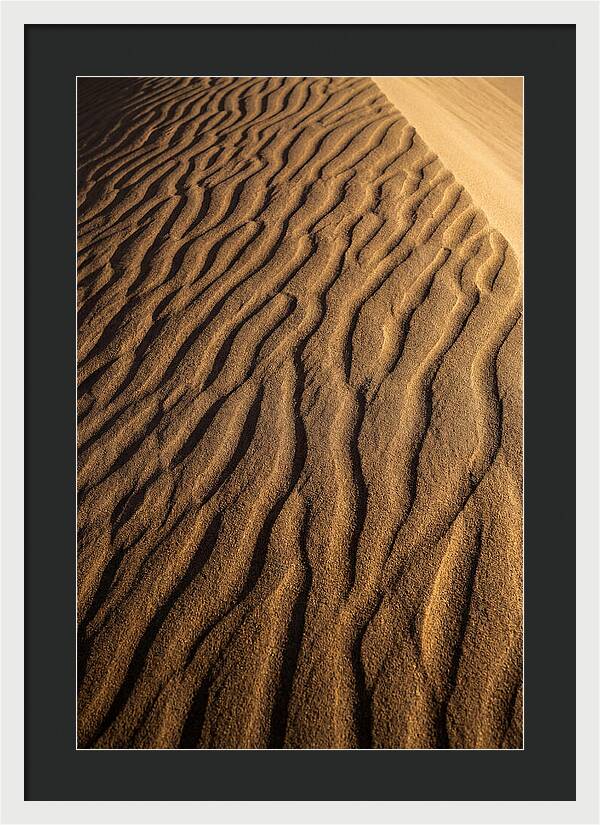 Sand Dune Patterns Under Sunlight