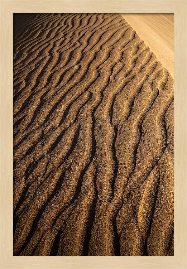 Sand Dune Patterns Under Sunlight