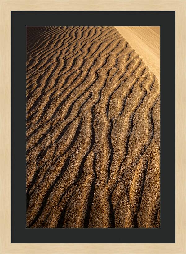 Sand Dune Patterns Under Sunlight