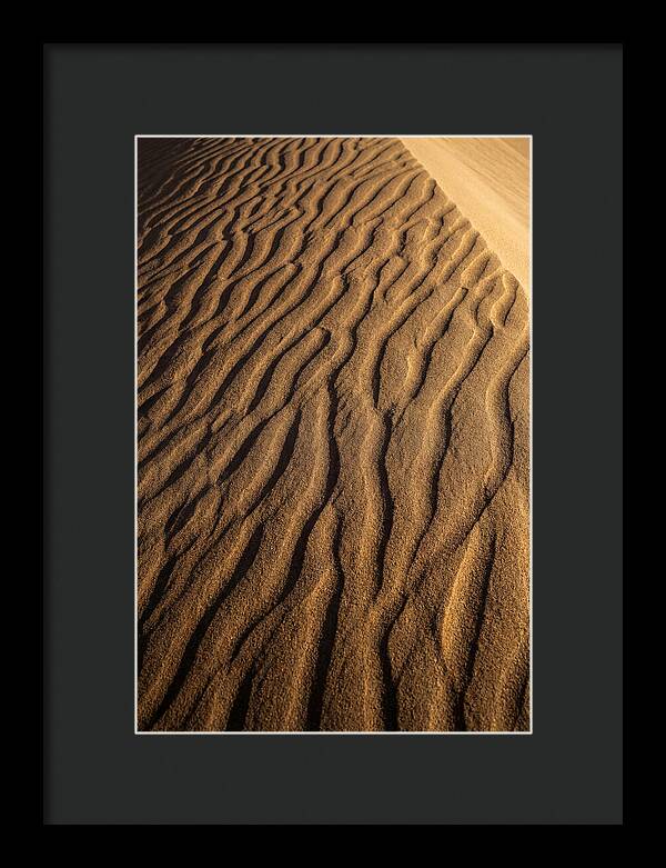 Sand Dune Patterns Under Sunlight