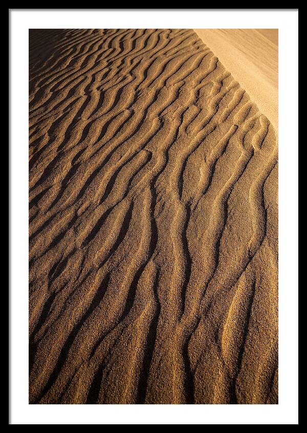 Sand Dune Patterns Under Sunlight