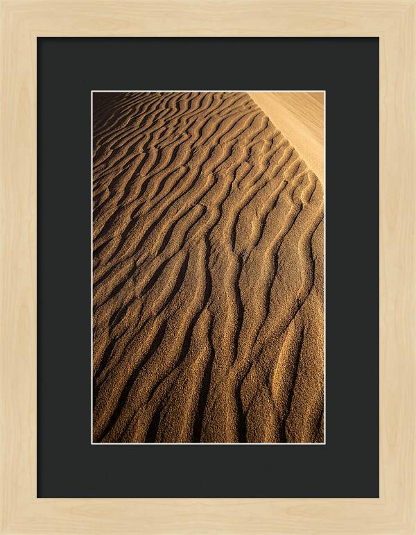Sand Dune Patterns Under Sunlight