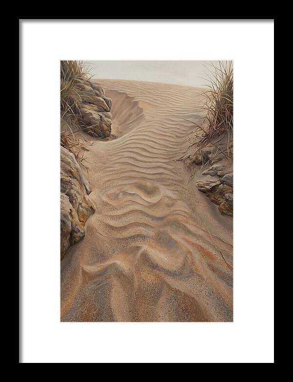 Sand Ripple Formations