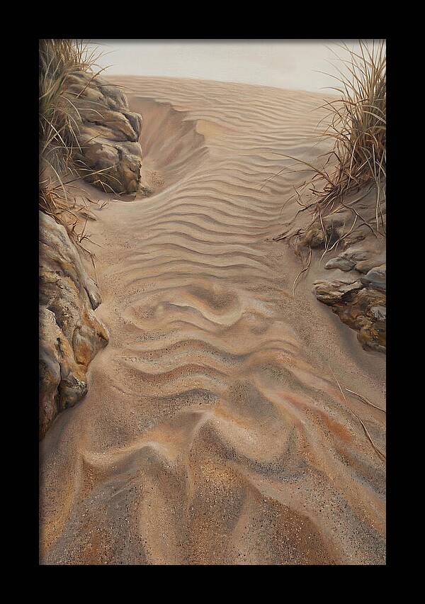 Sand Ripple Formations