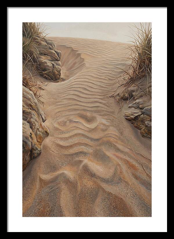 Sand Ripple Formations