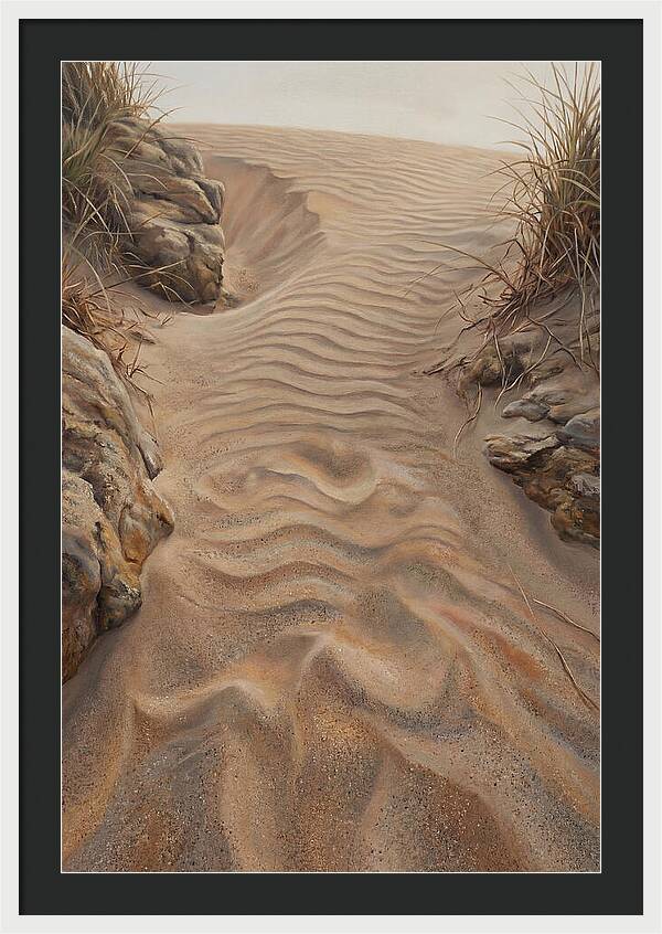 Sand Ripple Formations