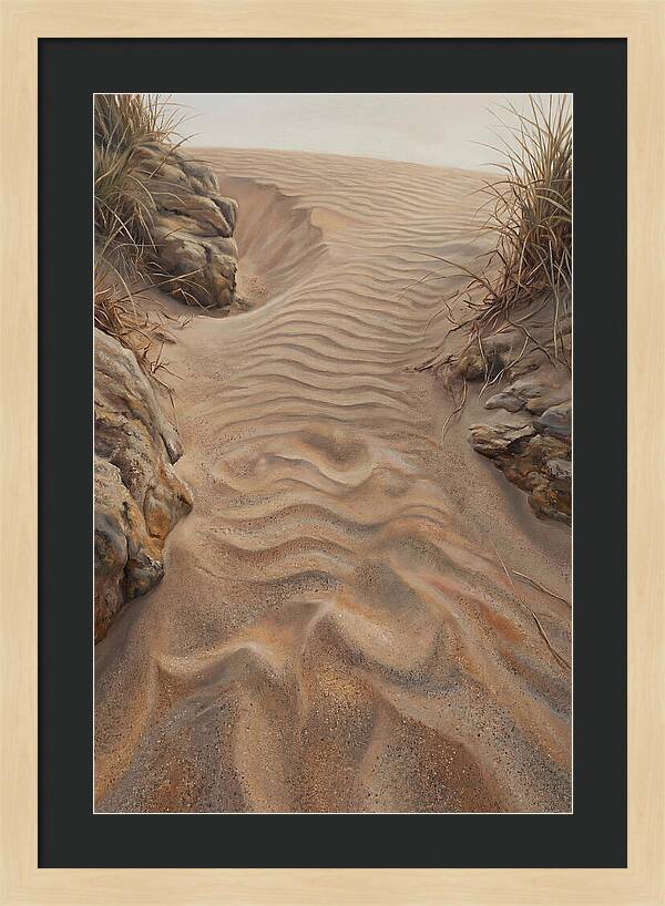 Sand Ripple Formations