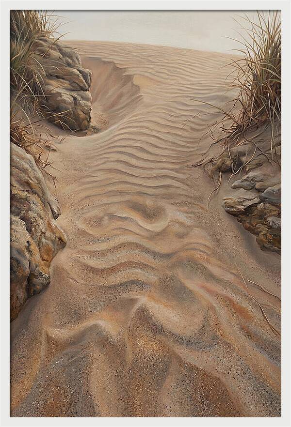 Sand Ripple Formations