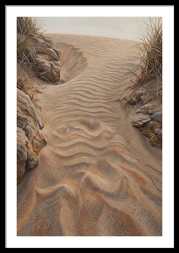 Sand Ripple Formations