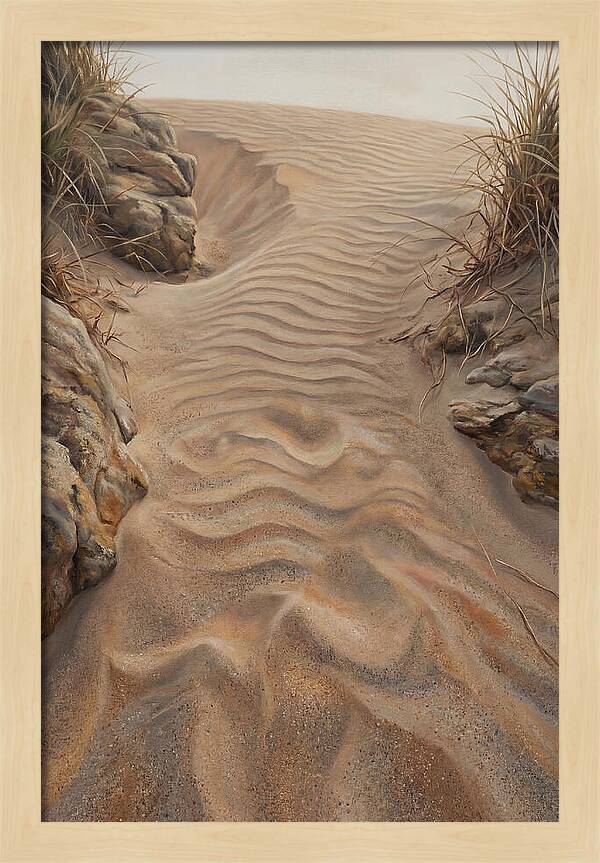 Sand Ripple Formations