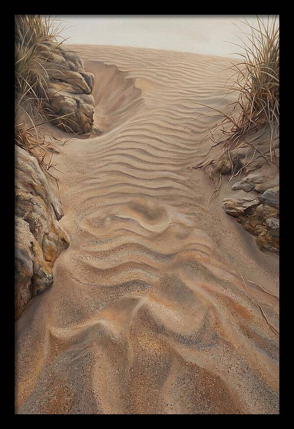 Sand Ripple Formations