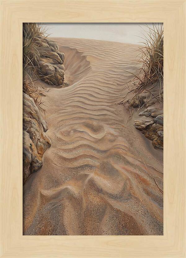 Sand Ripple Formations