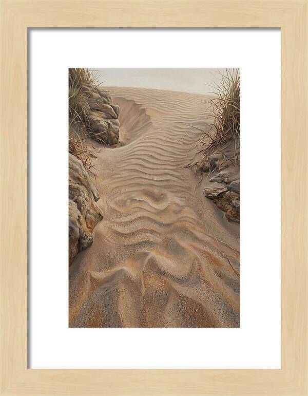 Sand Ripple Formations
