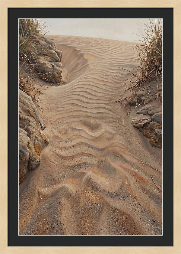 Sand Ripple Formations