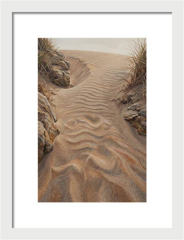 Sand Ripple Formations