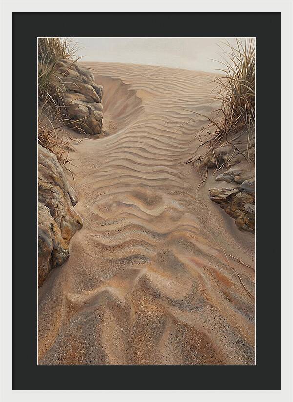 Sand Ripple Formations