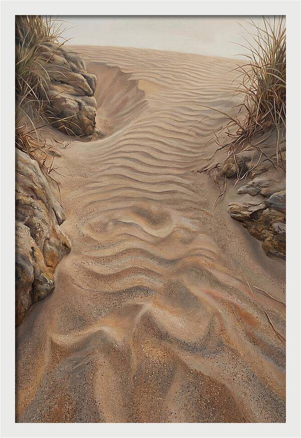 Sand Ripple Formations