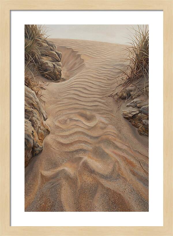 Sand Ripple Formations