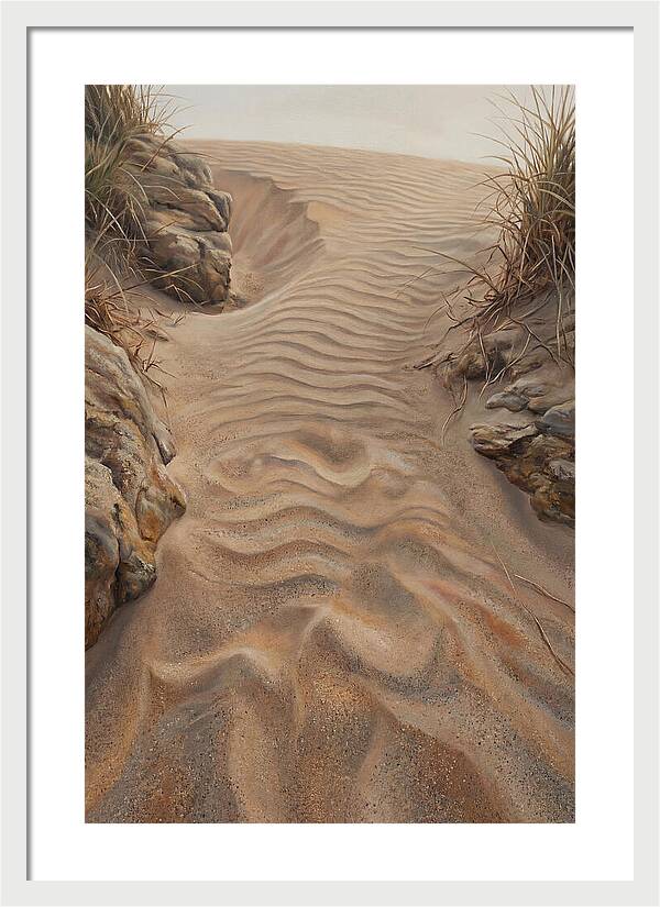Sand Ripple Formations