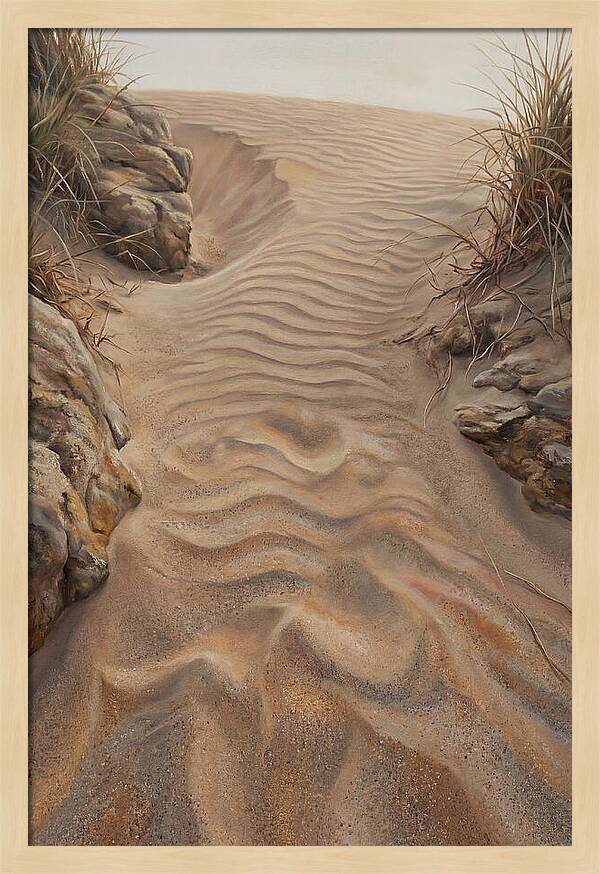 Sand Ripple Formations