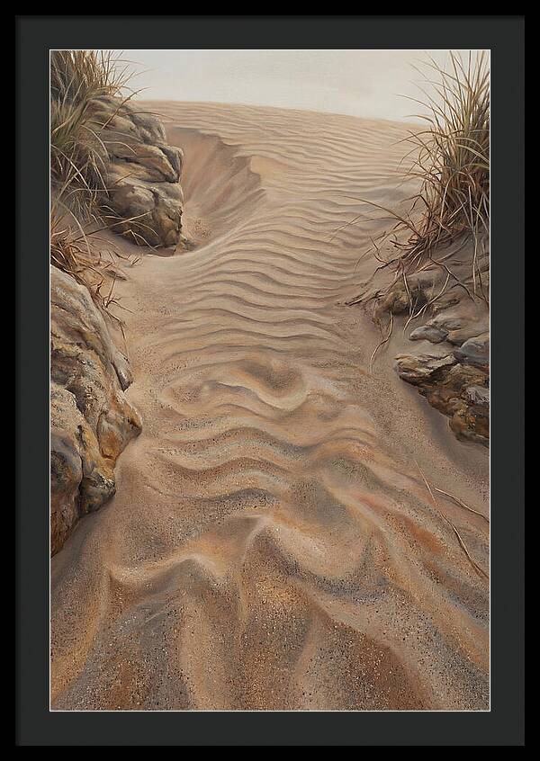 Sand Ripple Formations