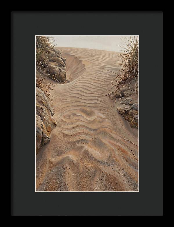 Sand Ripple Formations