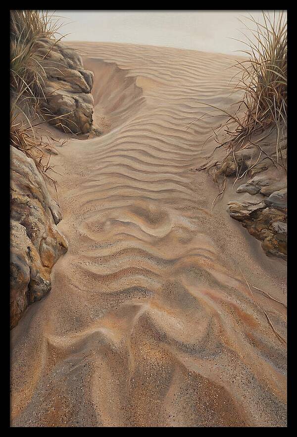 Sand Ripple Formations