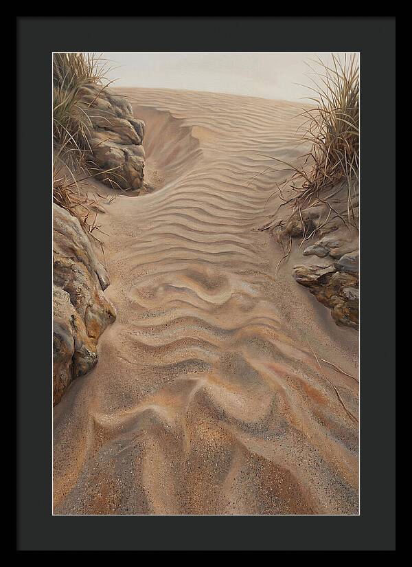 Sand Ripple Formations