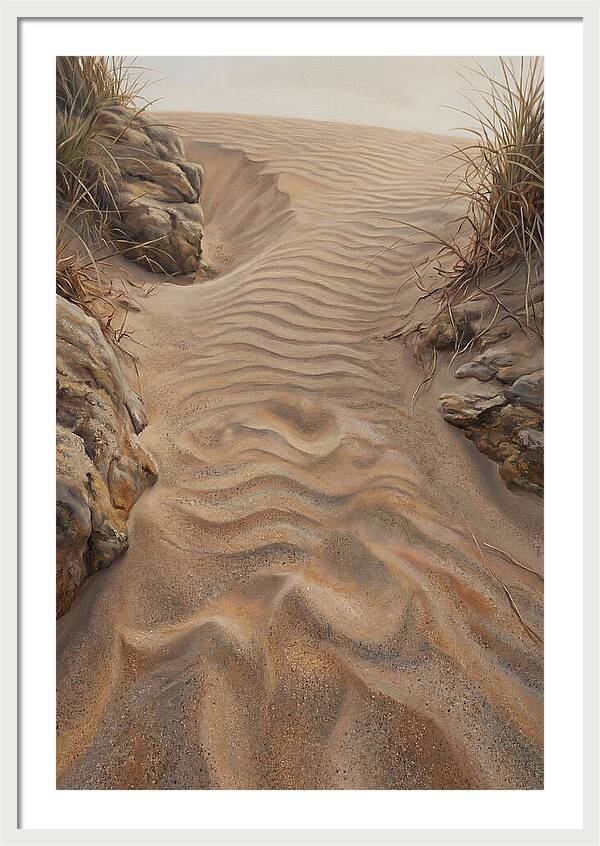 Sand Ripple Formations