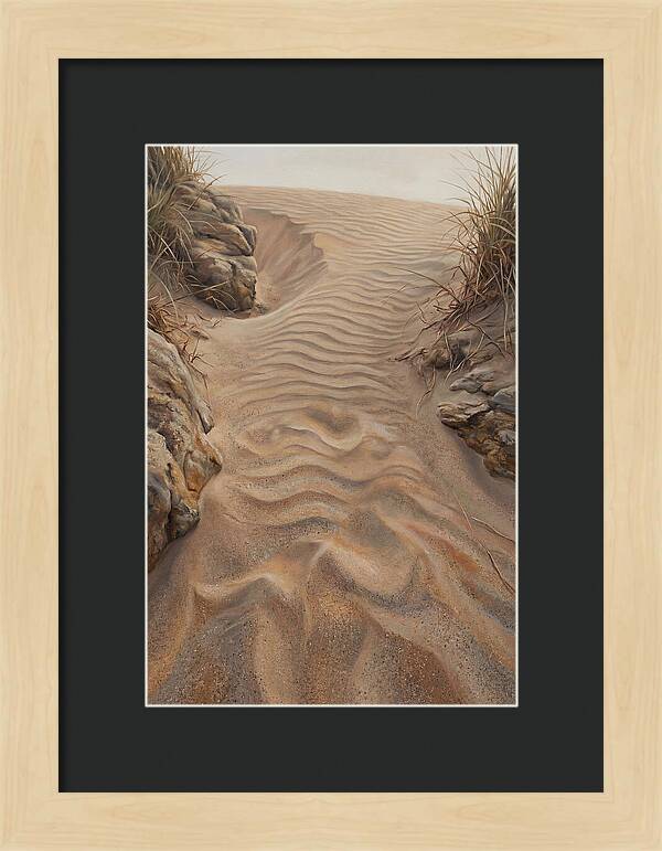 Sand Ripple Formations