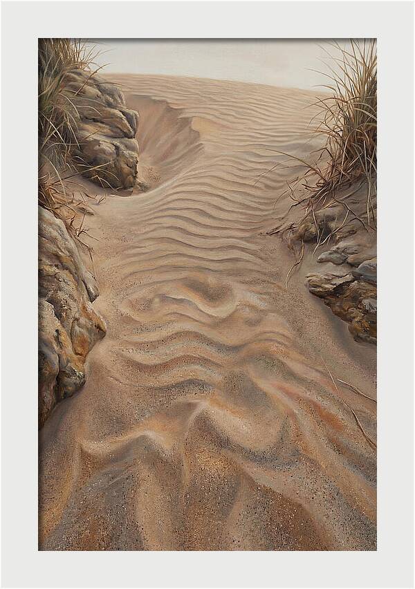 Sand Ripple Formations