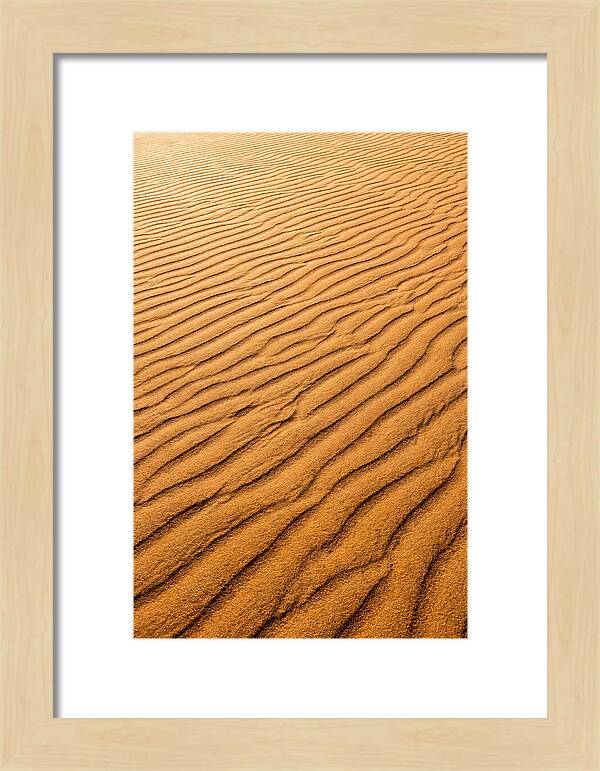Sand Ripple Patterns In Golden Tones