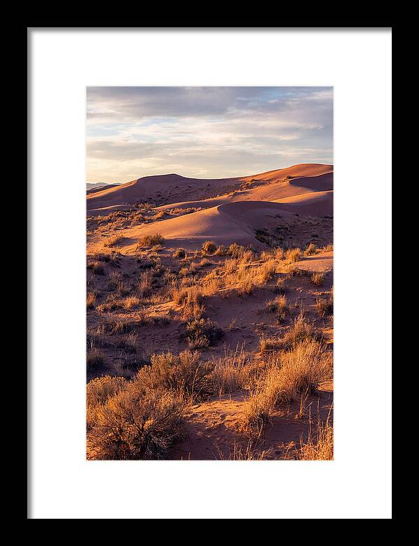 Sandhills Dune Grassland Serenity